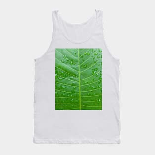 Green banana leaf vein with raindrops Tank Top